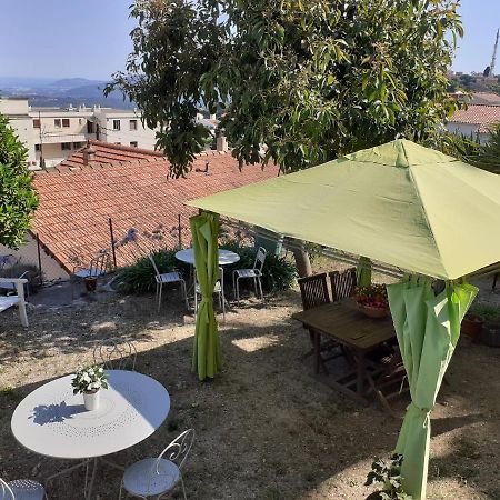 Les Palmiers Panzió Grasse Kültér fotó