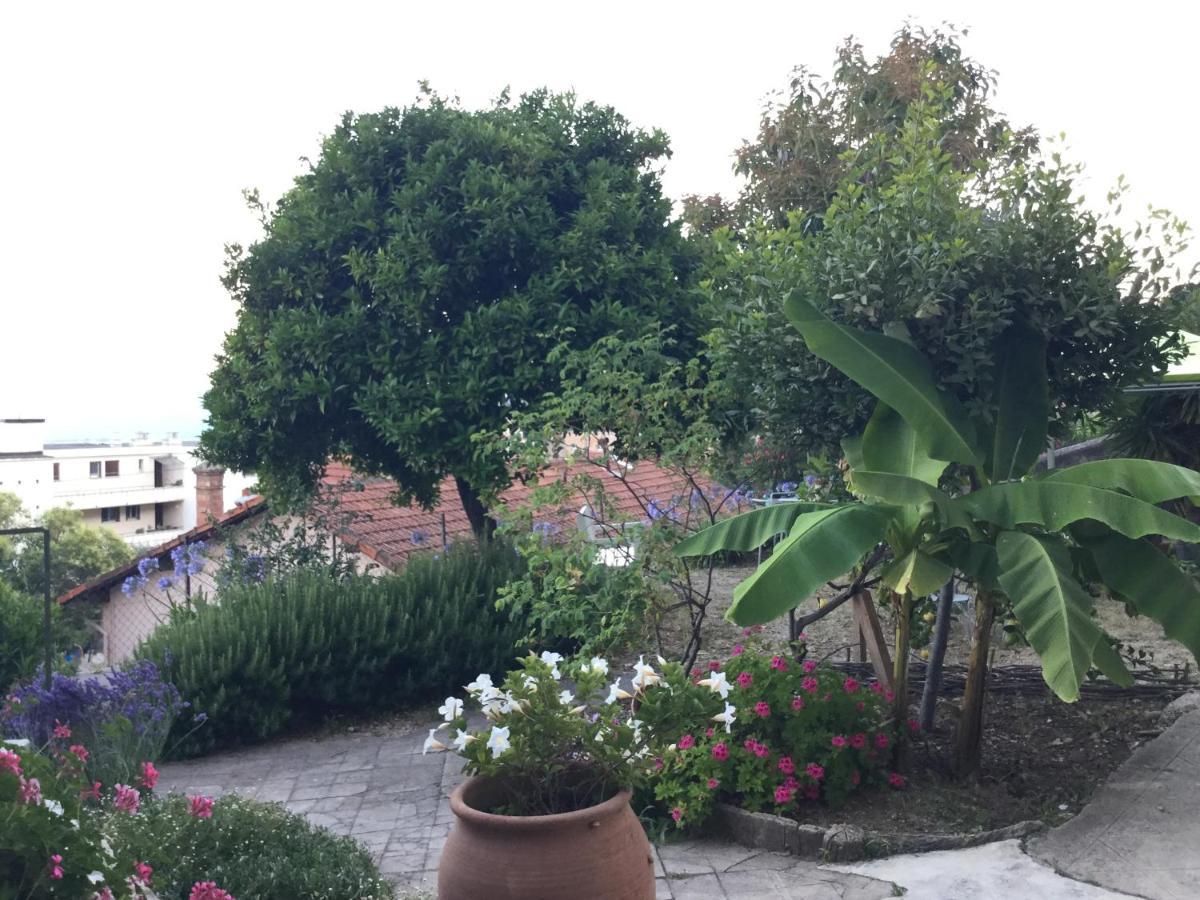 Les Palmiers Panzió Grasse Kültér fotó