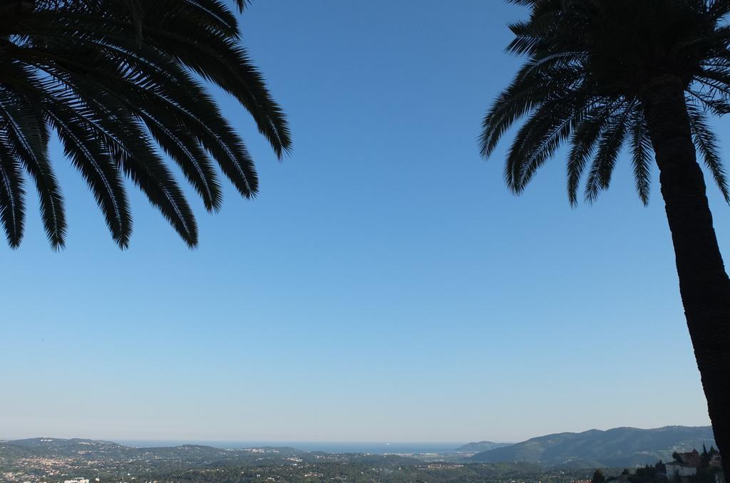 Les Palmiers Panzió Grasse Kültér fotó